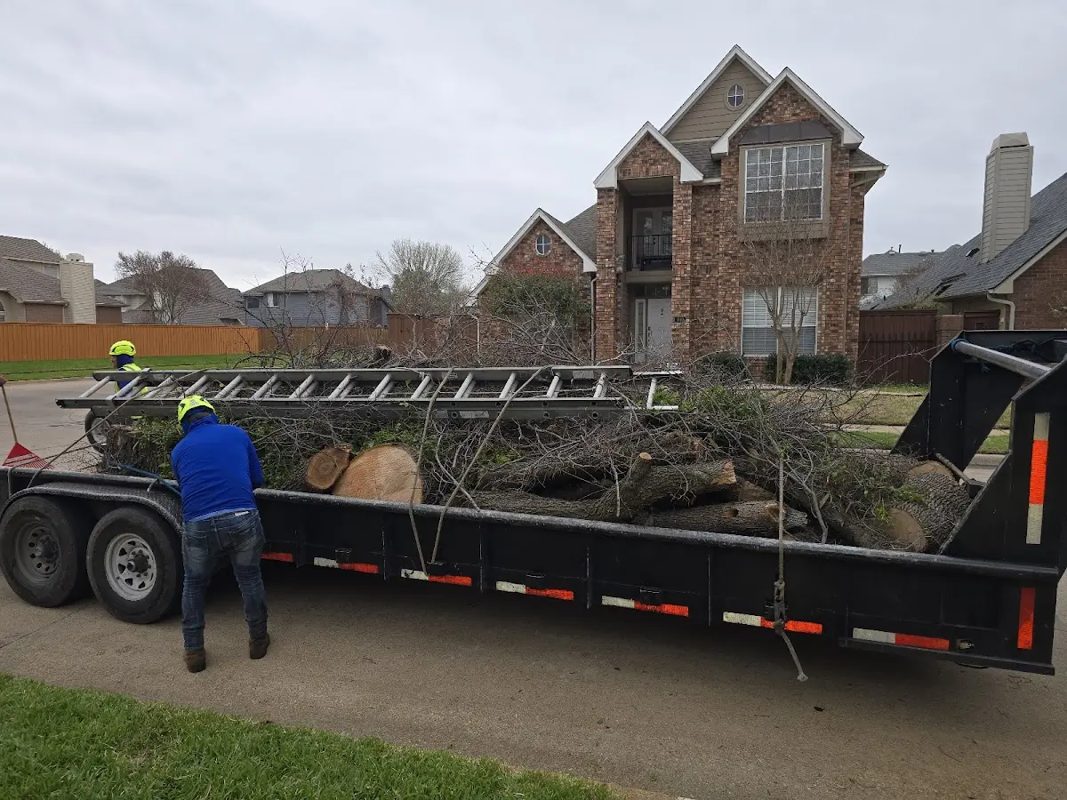 Expert Tree Removal with proper safety equipment in Makoti